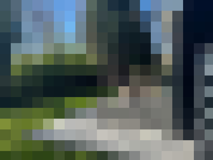 Image 25