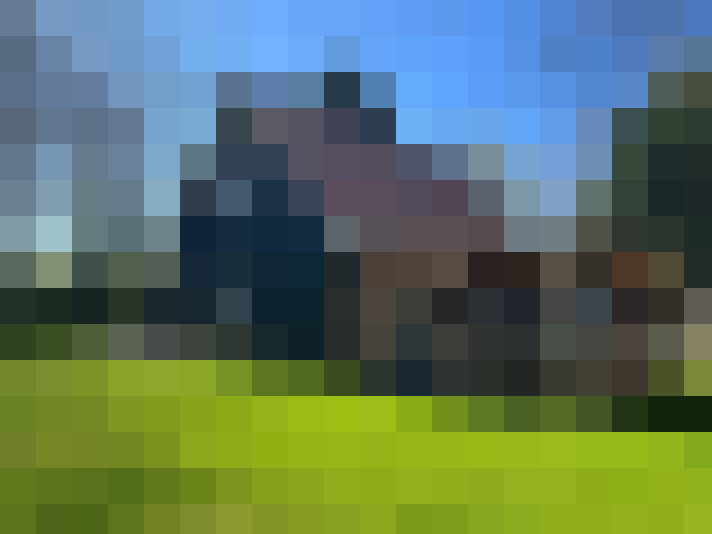 Image 30
