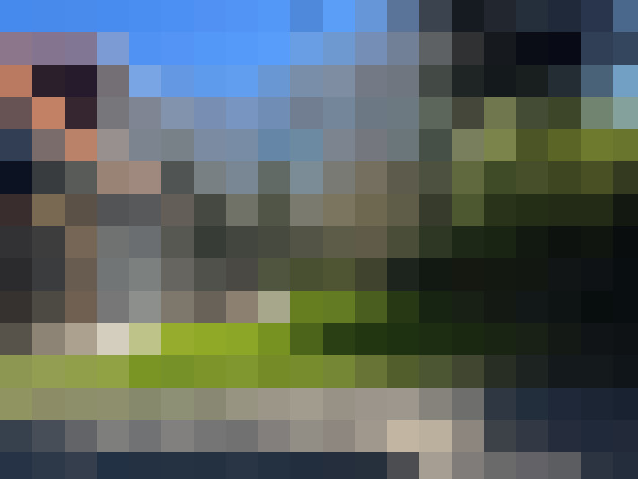 Image 23