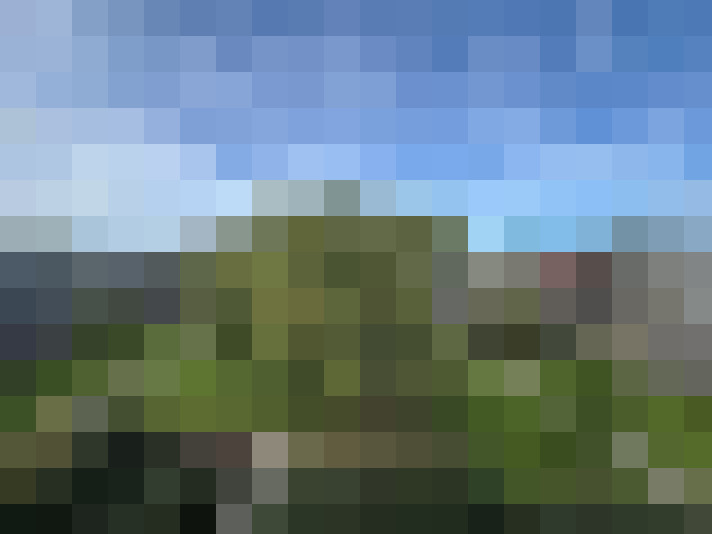 Image 31
