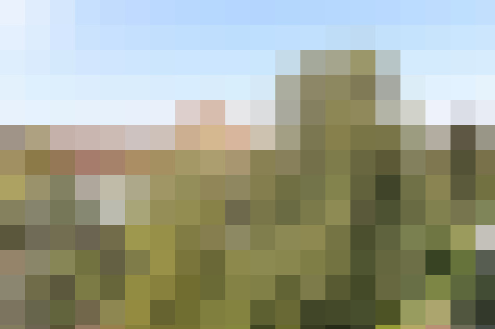 Image 30