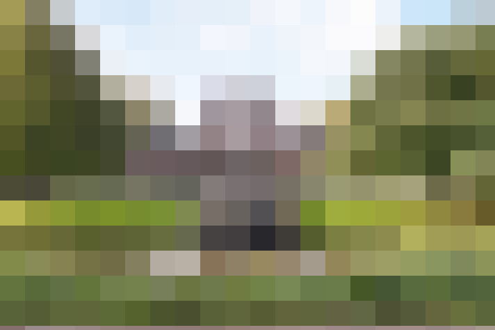 Image 35