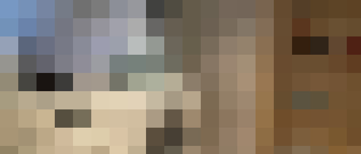 Image 17