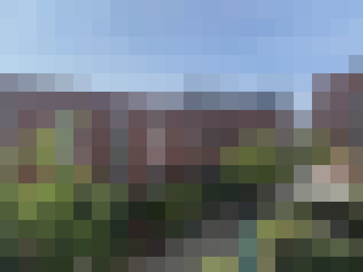 Image 37