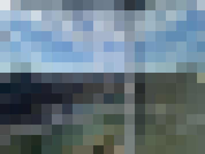 Image 66