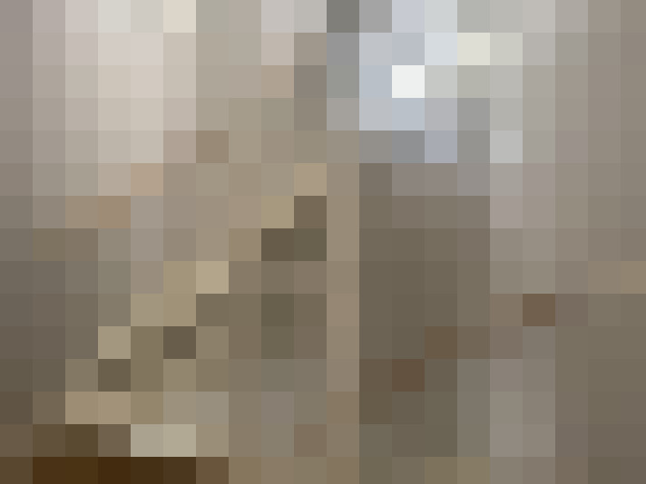 Image 50