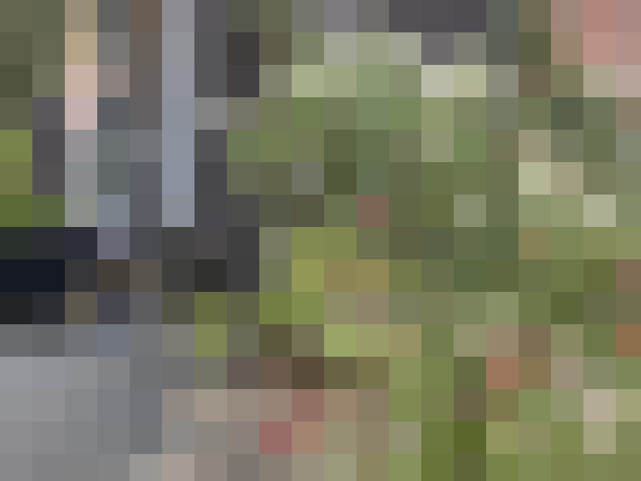 Image 38