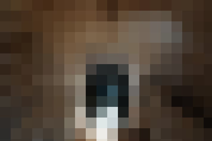 Image 44