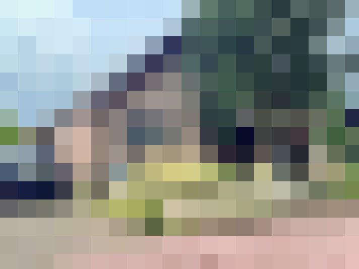 Image 15