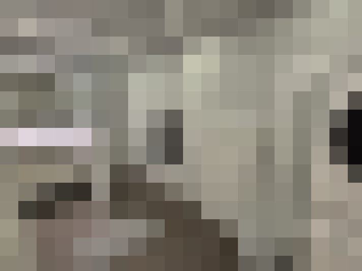 Image 14