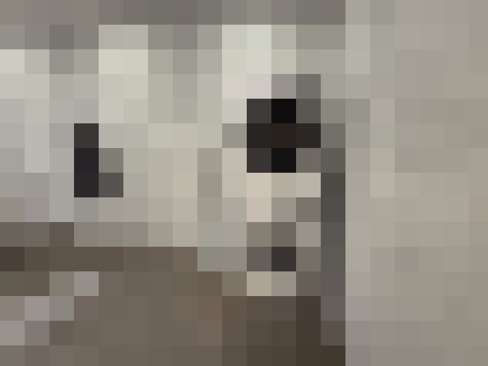Image 13