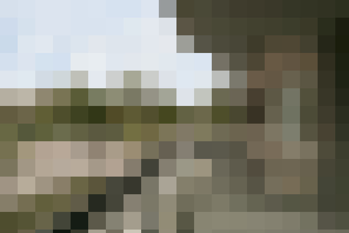 Image 13