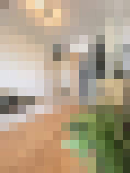 Image 23