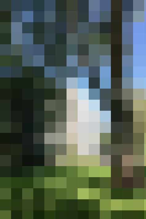 Image 32