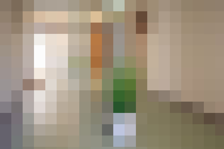 Image 29