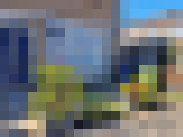 Image 50