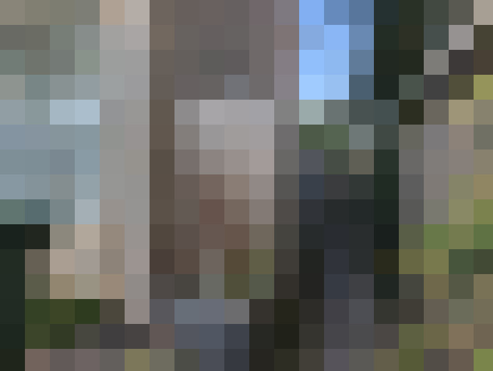 Image 94