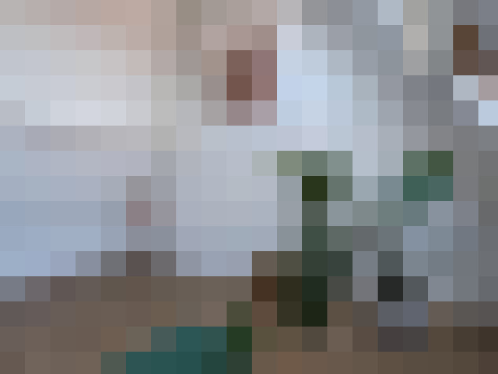 Image 45