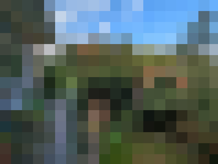 Image 22