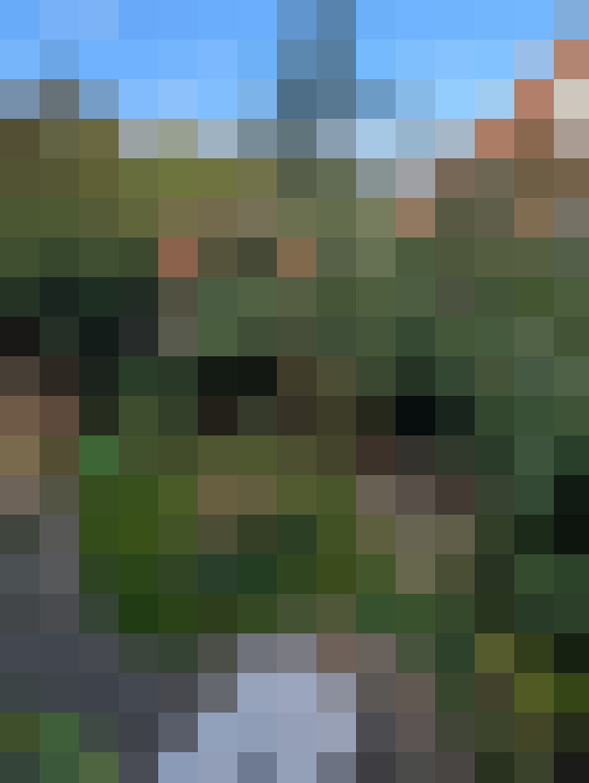Image 50