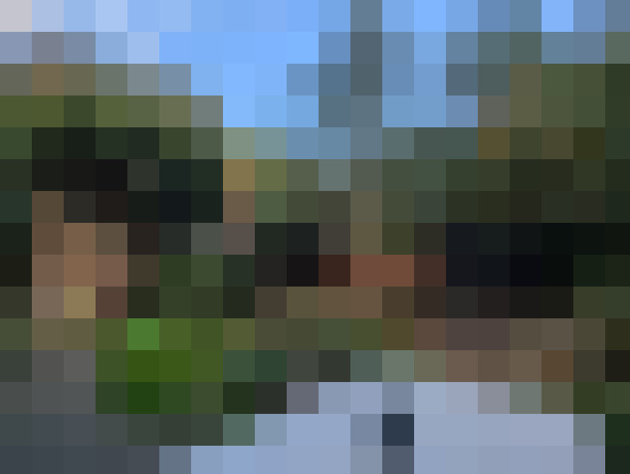 Image 51