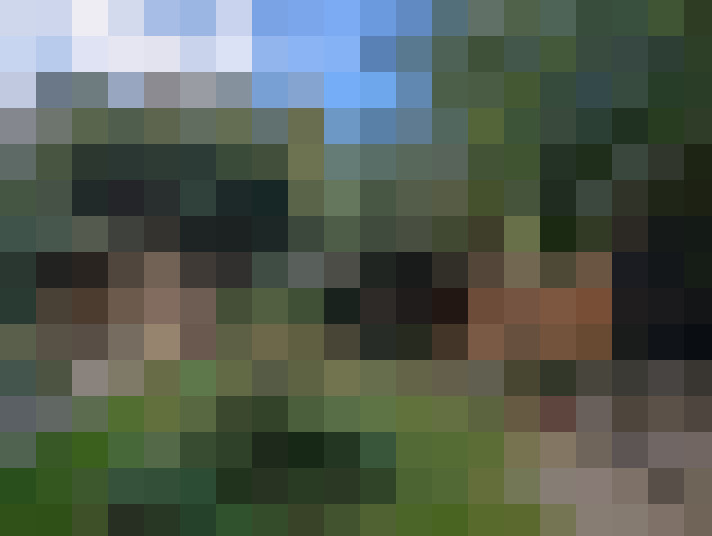 Image 52