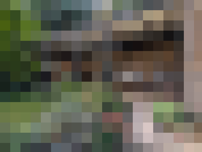 Image 54