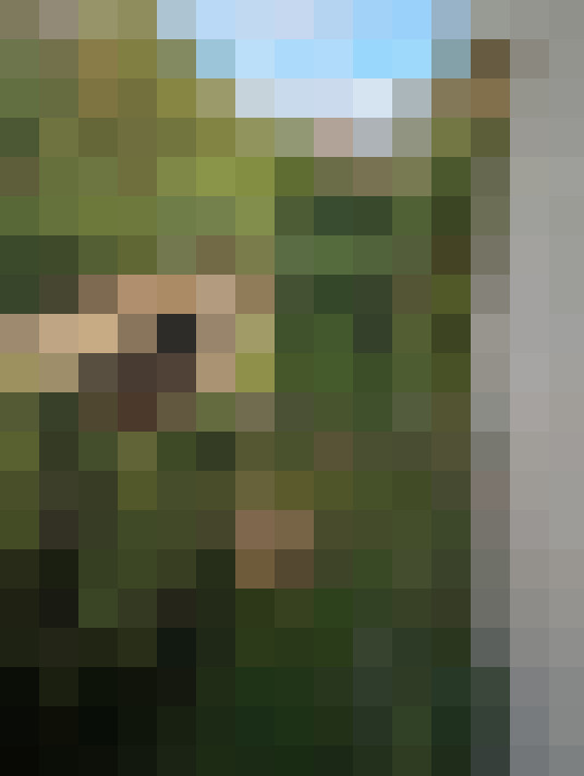 Image 37