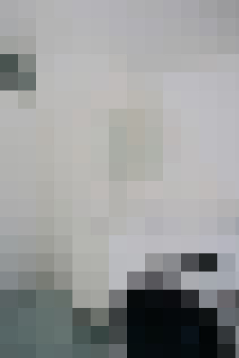 Image 31