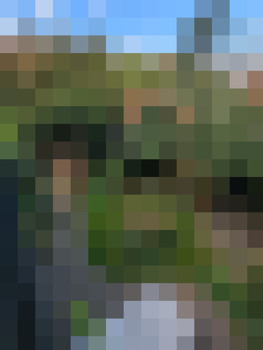 Image 49