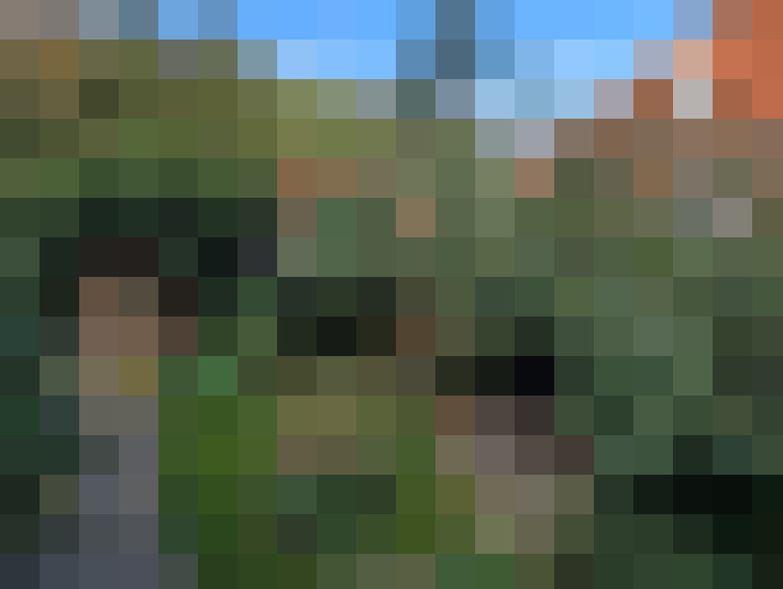 Image 23