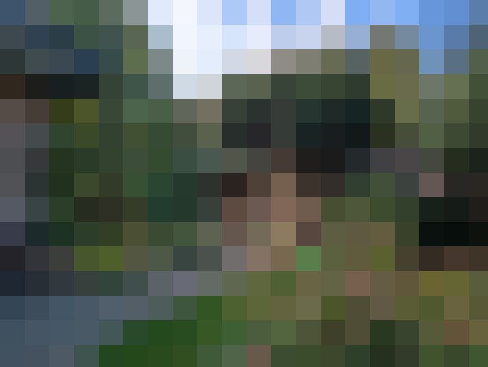 Image 53