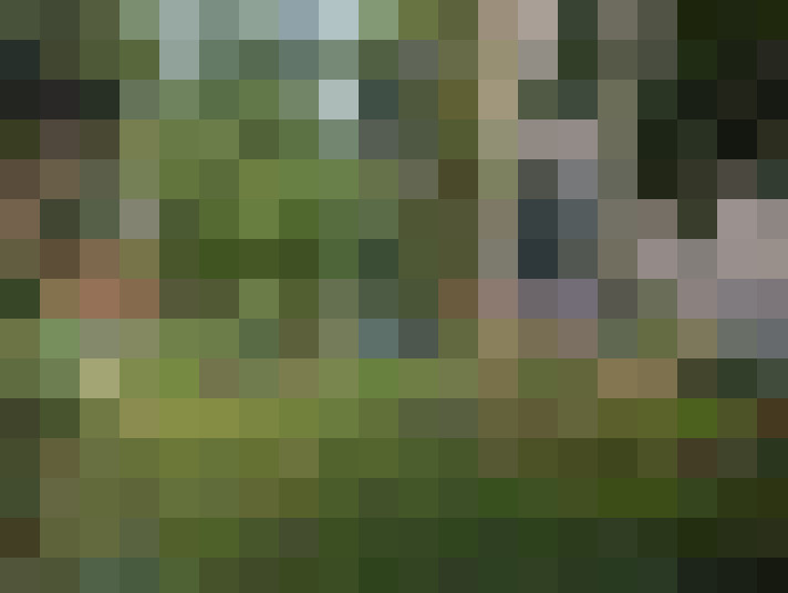 Image 57