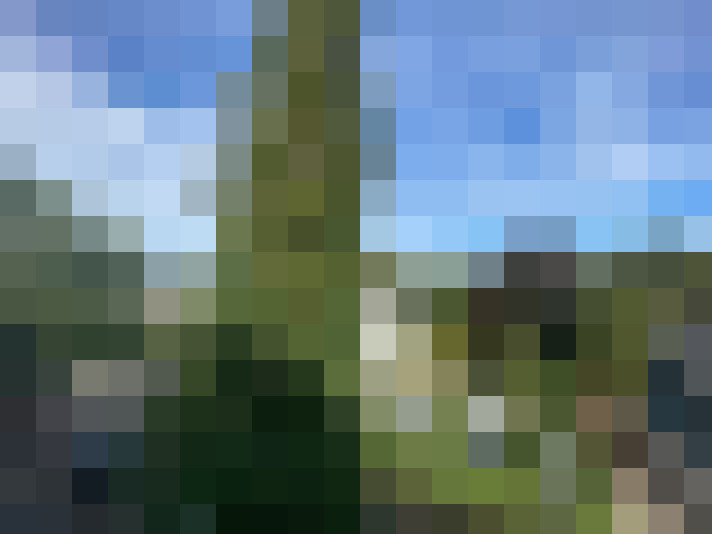 Image 13