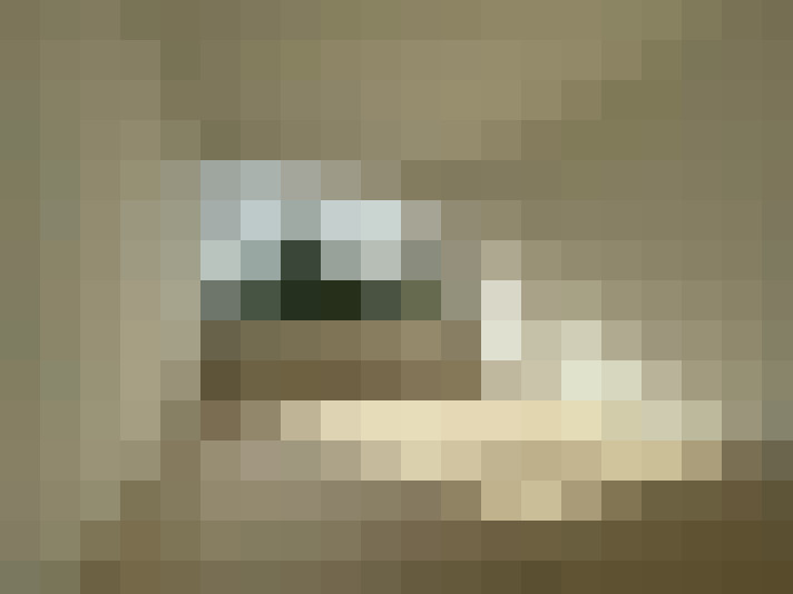Image 14