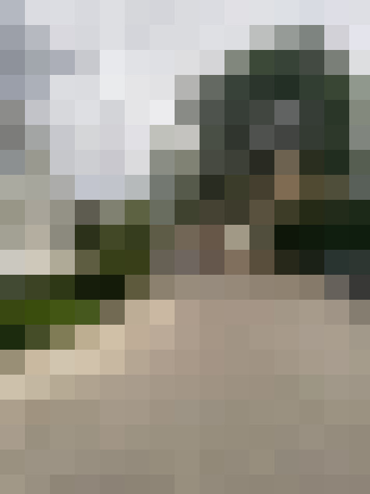 Image 17