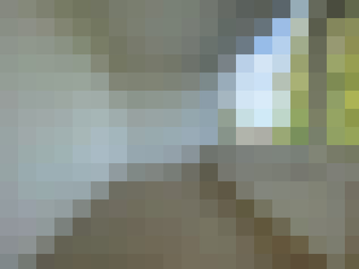 Image 15