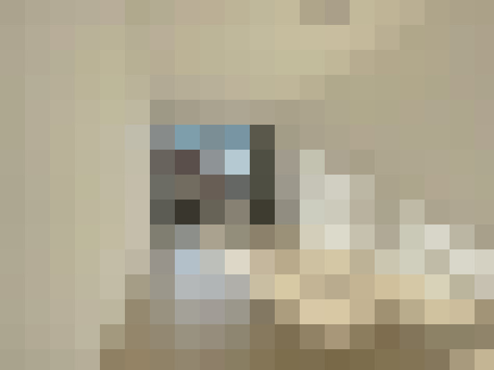 Image 18