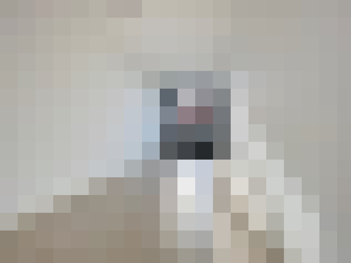 Image 20