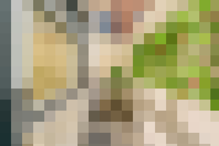 Image 18