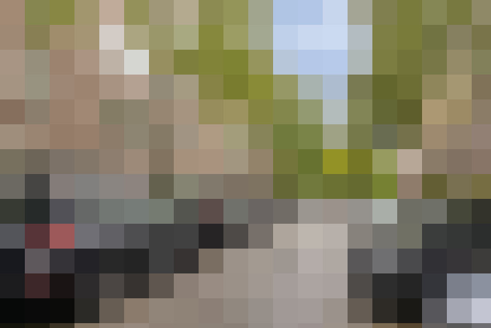 Image 20