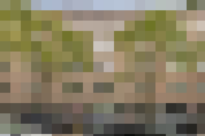 Image 22