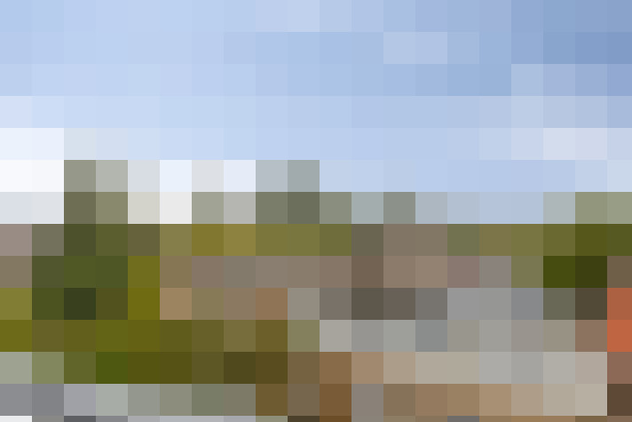 Image 24