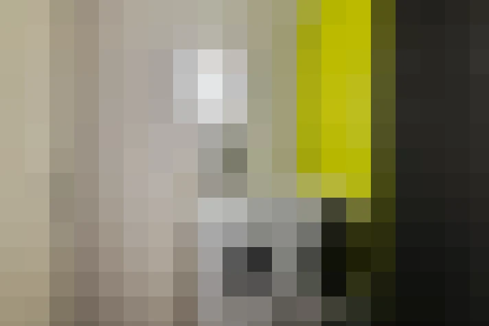 Image 31
