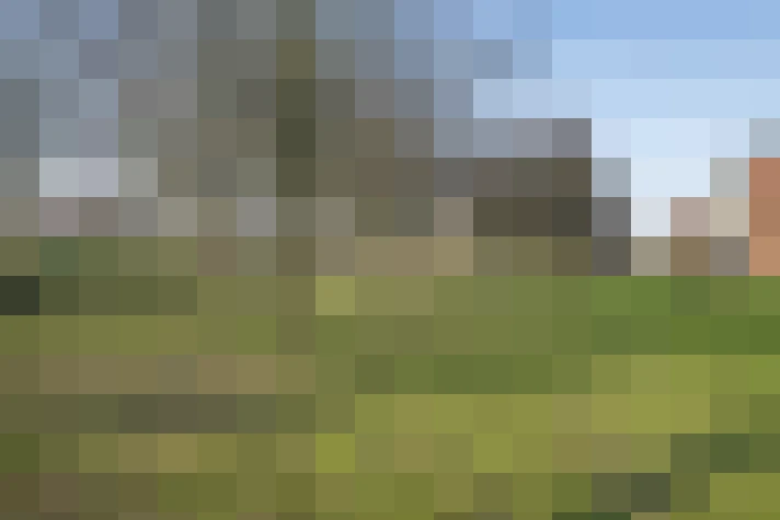 Image 36