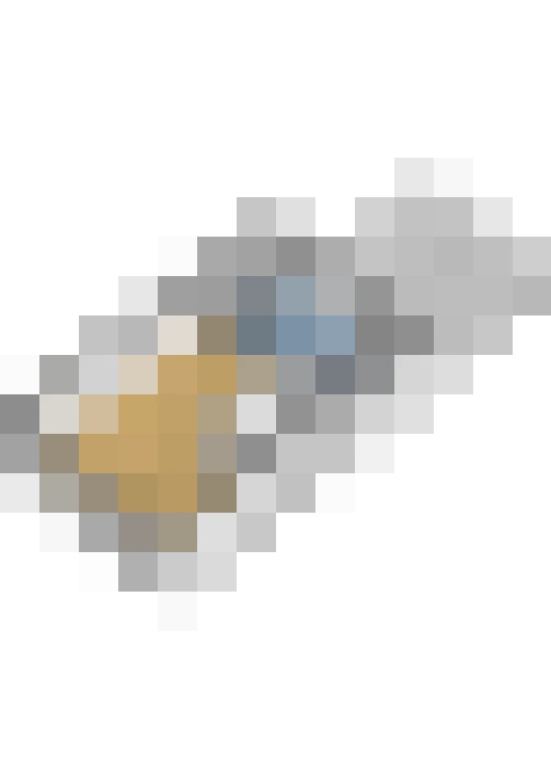 Image 41