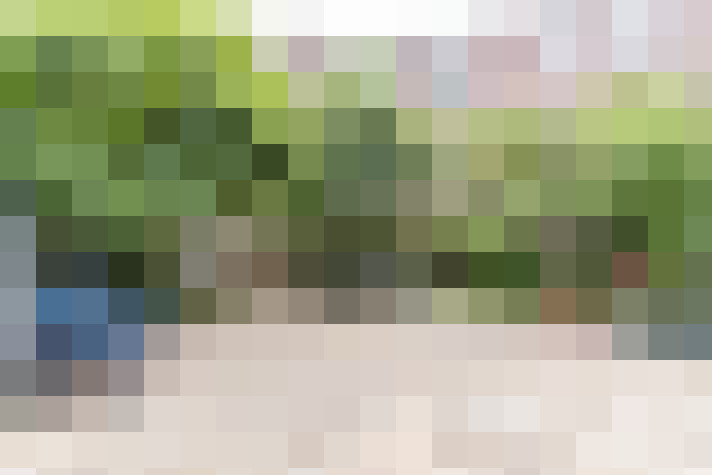 Image 31