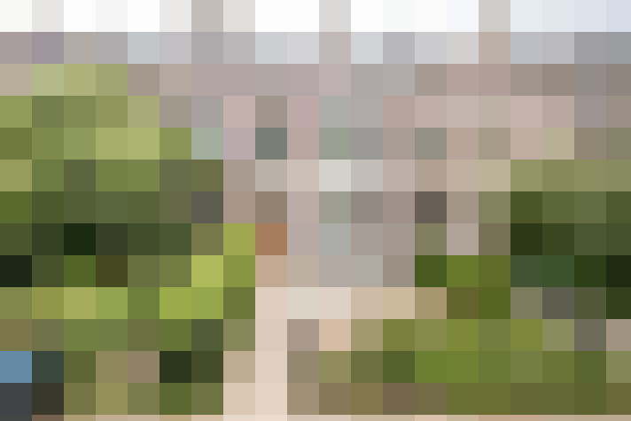 Image 32