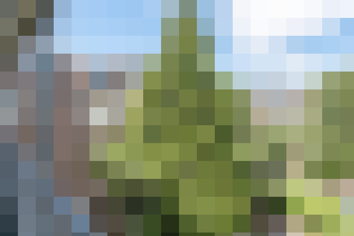 Image 20