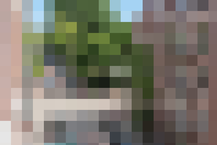 Image 22